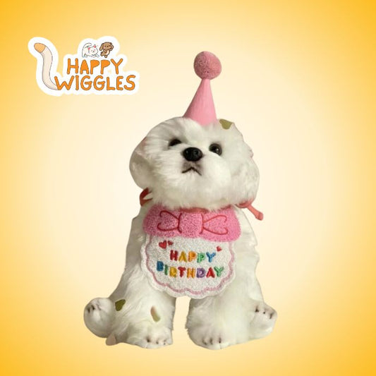 Birthday Celebration Pet Accessories for Cats and Dogs - Hat & Bib