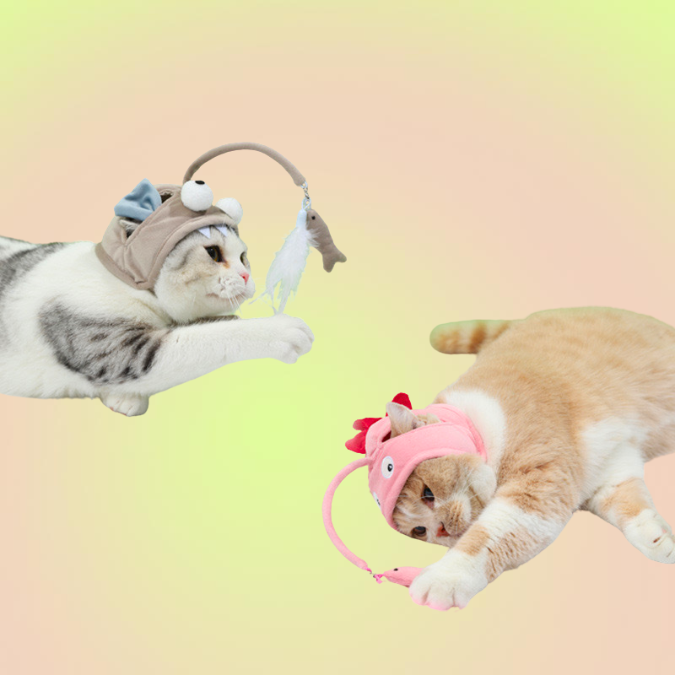 Self-Play Cat Teaser Toy