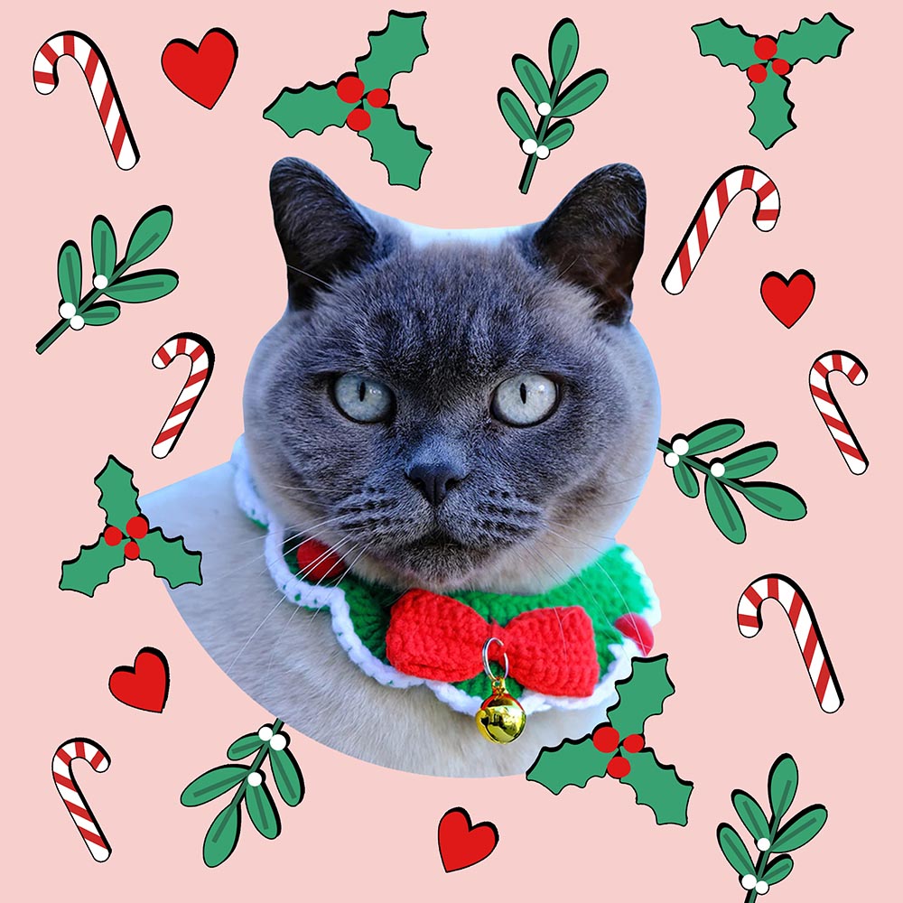 Crochet Christmas Cat Collar